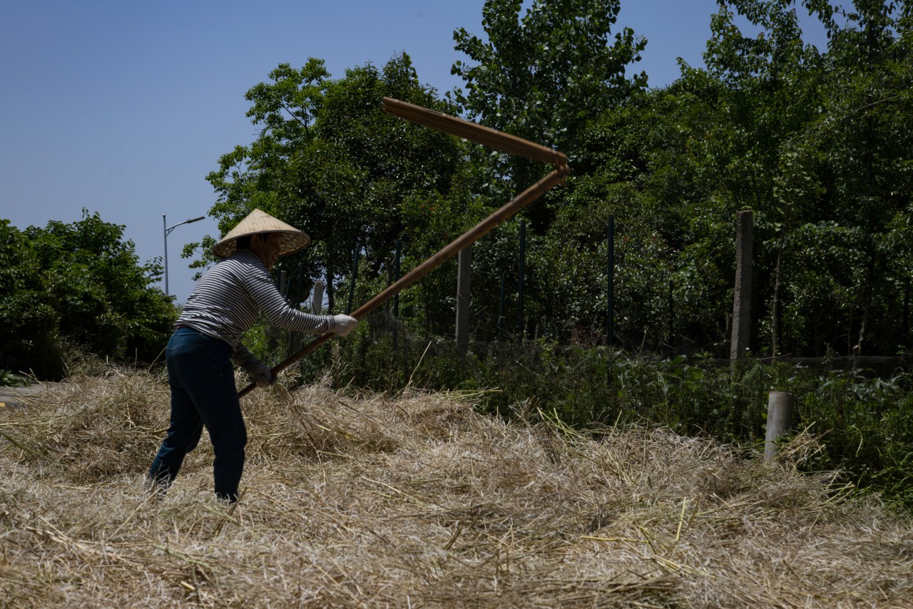 7.《梿枷聲聲唱豐收》夏可義 相機(jī)攝影.jpg